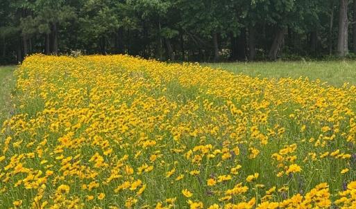 Photo #2 of TBD PECAN LN, CARDINAL, VA 10.2 acres