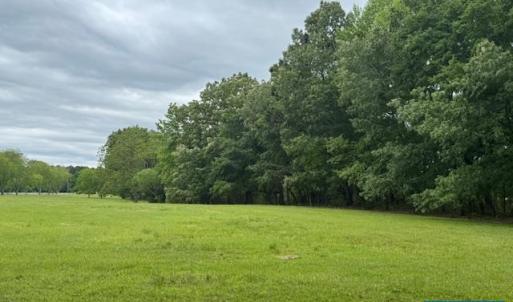 Photo #12 of TBD PECAN LN, CARDINAL, VA 10.2 acres