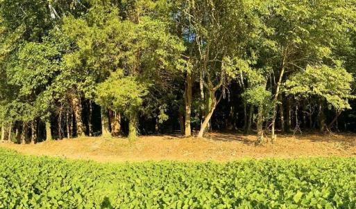 Photo #6 of TBD PECAN LN, CARDINAL, VA 10.2 acres