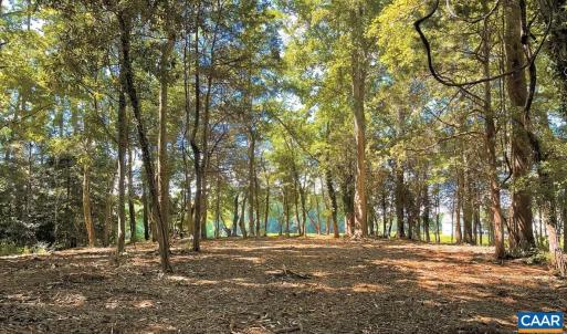 Photo #3 of TBD PECAN LN, CARDINAL, VA 10.2 acres