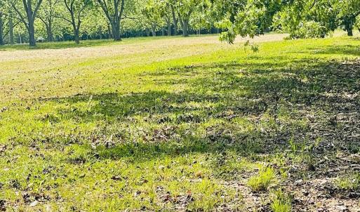 Photo #14 of TBD PECAN LN, CARDINAL, VA 10.2 acres
