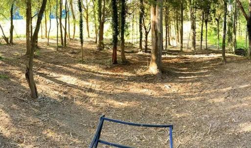 Photo #13 of TBD PECAN LN, CARDINAL, VA 10.2 acres