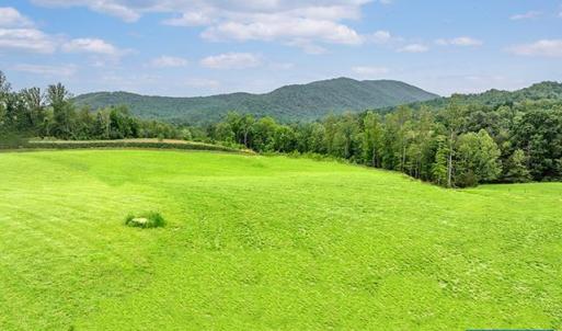 Photo #8 of 9 BOONESVILLE RD, BOONESVILLE, VA 9.1 acres