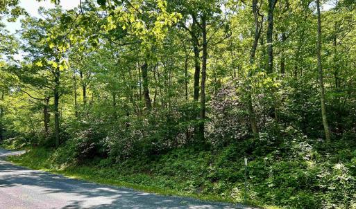 Photo #6 of 62 SPLIT ROCK TRL, WINTERGREEN RESORT, VA 0.4 acres