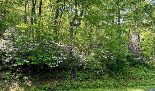 Photo #7 of 62 SPLIT ROCK TRL, WINTERGREEN RESORT, VA 0.4 acres