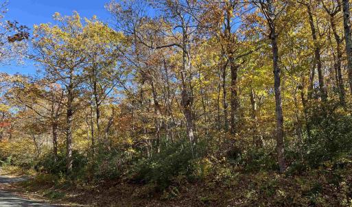 Photo #1 of 62 SPLIT ROCK TRL, WINTERGREEN RESORT, VA 0.4 acres