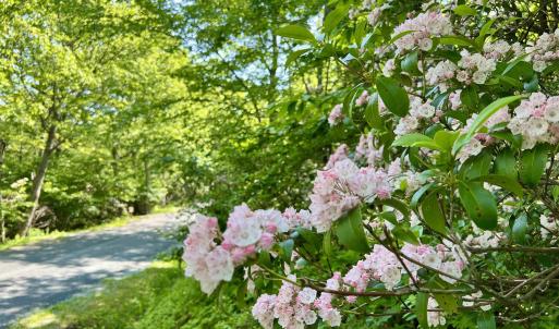 Photo #3 of 62 SPLIT ROCK TRL, WINTERGREEN RESORT, VA 0.4 acres