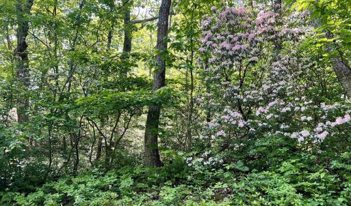 Photo #8 of 62 SPLIT ROCK TRL, WINTERGREEN RESORT, VA 0.4 acres