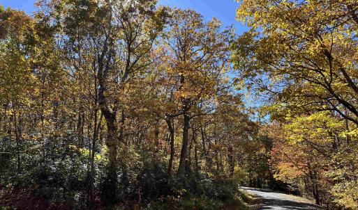 Photo #2 of 62 SPLIT ROCK TRL, WINTERGREEN RESORT, VA 0.4 acres