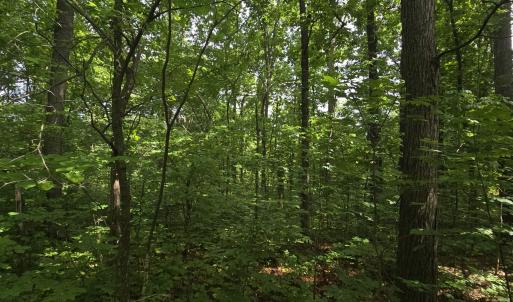 Photo #7 of 14314 WILLIS CT, ORANGE, VA 2.2 acres