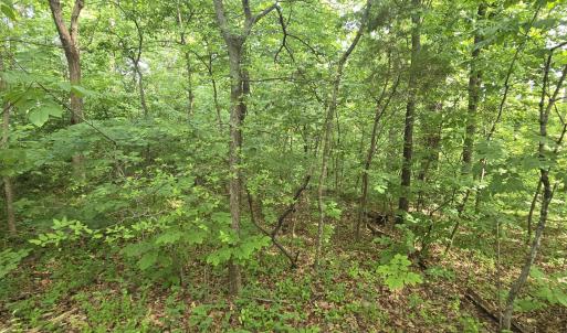 Photo #6 of 14314 WILLIS CT, ORANGE, VA 2.2 acres