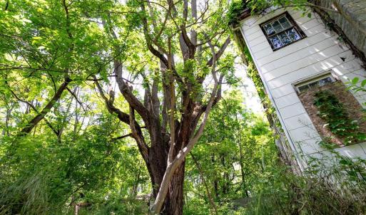 Photo #10 of 2410 MAUZY ATHLONE RD, BROADWAY, VA 18.3 acres