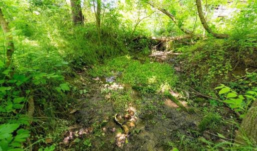Photo #18 of 2410 MAUZY ATHLONE RD, BROADWAY, VA 18.3 acres