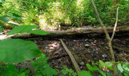 Photo #17 of 2410 MAUZY ATHLONE RD, BROADWAY, VA 18.3 acres