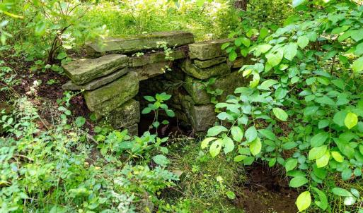 Photo #20 of 2410 MAUZY ATHLONE RD, BROADWAY, VA 18.3 acres