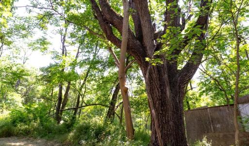 Photo #10 of 2410 MAUZY ATHLONE RD, BROADWAY, VA 18.3 acres