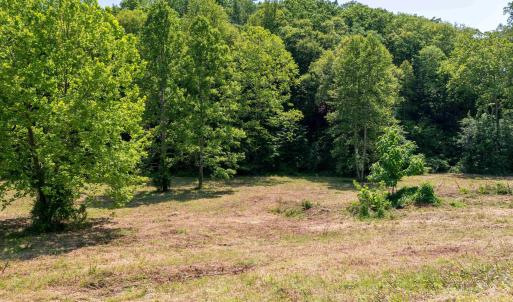 Photo #39 of 1467 HARRIS CREEK RD, CHARLOTTESVILLE, VA 10.7 acres