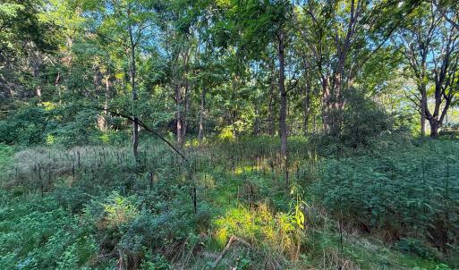 Photo #11 of TBD STUARTS DRAFT HWY, STAUNTON, VA 31.2 acres