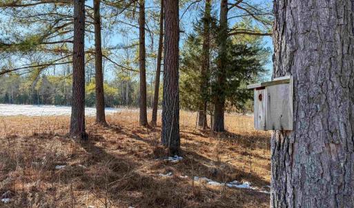 Photo #47 of 4048 OLD GRAIN RD, CORBIN, VA 843.0 acres