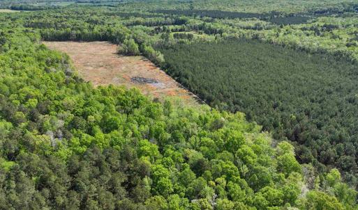 Photo #17 of 4048 OLD GRAIN RD, CORBIN, VA 843.0 acres