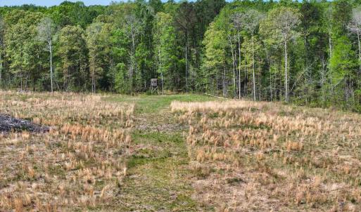 Photo #19 of 4048 OLD GRAIN RD, CORBIN, VA 843.0 acres