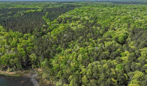 Photo #16 of 4048 OLD GRAIN RD, CORBIN, VA 843.0 acres