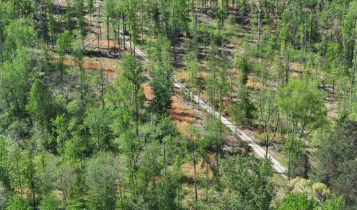 Photo #39 of 4048 OLD GRAIN RD, CORBIN, VA 843.0 acres