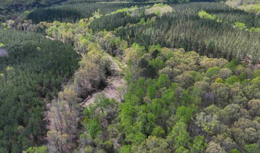 Photo #29 of 4048 OLD GRAIN RD, CORBIN, VA 843.0 acres