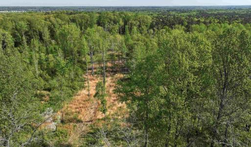 Photo #10 of 4048 OLD GRAIN RD, CORBIN, VA 843.0 acres