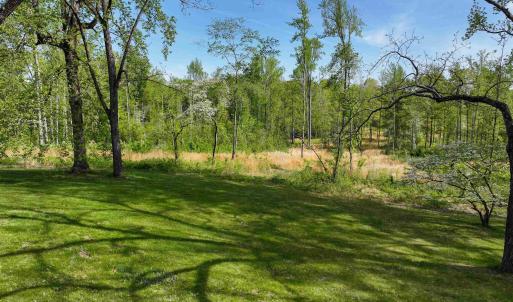 Photo #9 of 4048 OLD GRAIN RD, CORBIN, VA 843.0 acres