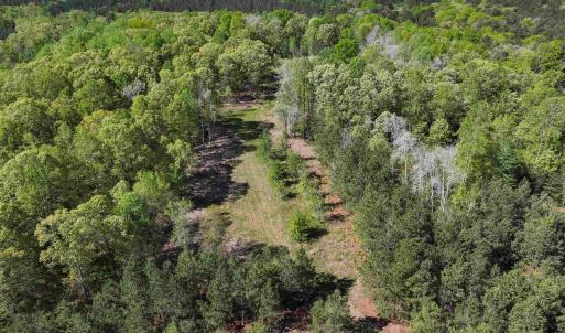 Photo #38 of 4048 OLD GRAIN RD, CORBIN, VA 843.0 acres