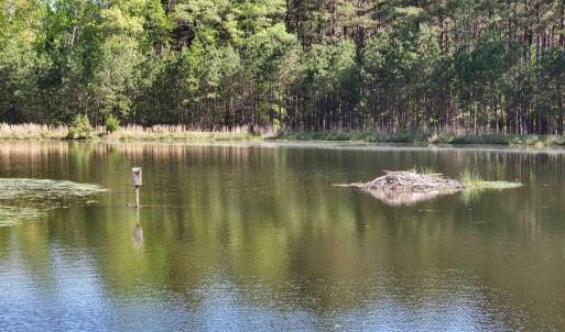 Photo #15 of 4048 OLD GRAIN RD, CORBIN, VA 843.0 acres