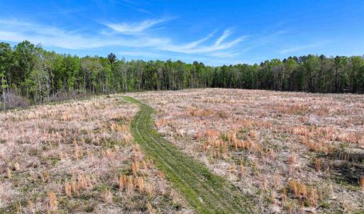 Photo #32 of 4048 OLD GRAIN RD, CORBIN, VA 843.0 acres