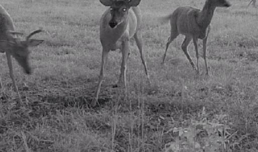 Photo #3 of 4048 OLD GRAIN RD, CORBIN, VA 843.0 acres