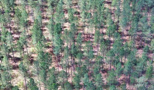 Photo #31 of 4048 OLD GRAIN RD, CORBIN, VA 843.0 acres