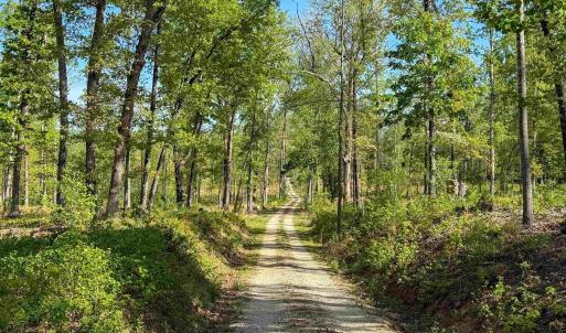 Photo #5 of 4048 OLD GRAIN RD, CORBIN, VA 843.0 acres