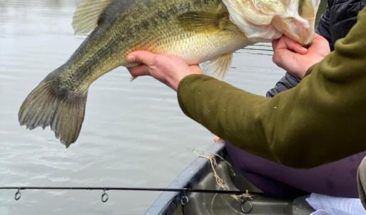 Photo #14 of 4048 OLD GRAIN RD, CORBIN, VA 843.0 acres