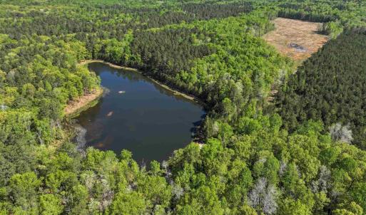 Photo #12 of 4048 OLD GRAIN RD, CORBIN, VA 843.0 acres