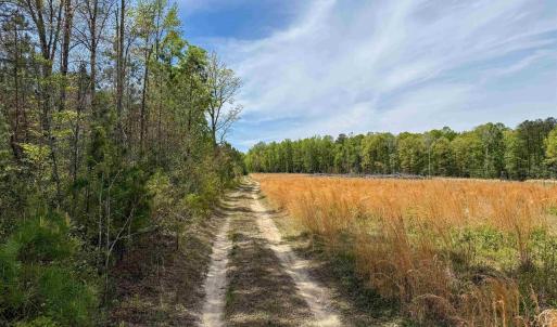 Photo #18 of 4048 OLD GRAIN RD, CORBIN, VA 843.0 acres