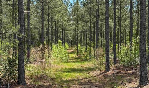 Photo #40 of 4048 OLD GRAIN RD, CORBIN, VA 843.0 acres