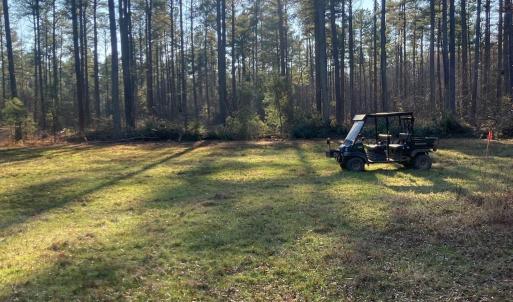 Photo #26 of 4048 OLD GRAIN RD, CORBIN, VA 843.0 acres