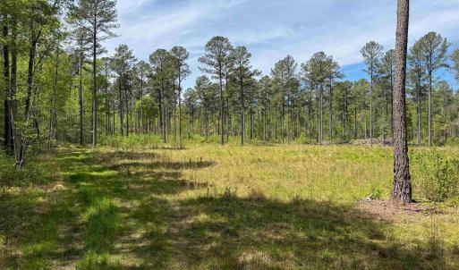 Photo #34 of 4048 OLD GRAIN RD, CORBIN, VA 843.0 acres