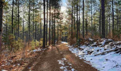 Photo #41 of 4048 OLD GRAIN RD, CORBIN, VA 843.0 acres