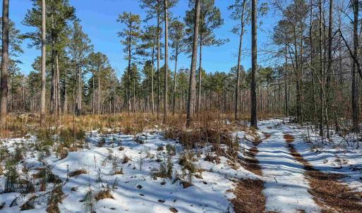 Photo #45 of 4048 OLD GRAIN RD, CORBIN, VA 843.0 acres