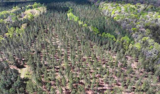 Photo #30 of 4048 OLD GRAIN RD, CORBIN, VA 843.0 acres