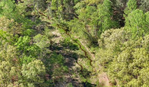 Photo #11 of 4048 OLD GRAIN RD, CORBIN, VA 843.0 acres