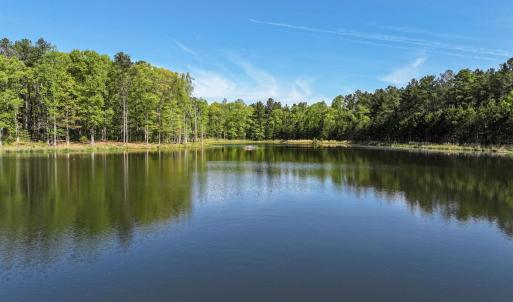 Photo #13 of 4048 OLD GRAIN RD, CORBIN, VA 843.0 acres