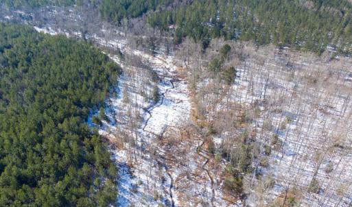 Photo #43 of 4048 OLD GRAIN RD, CORBIN, VA 843.0 acres