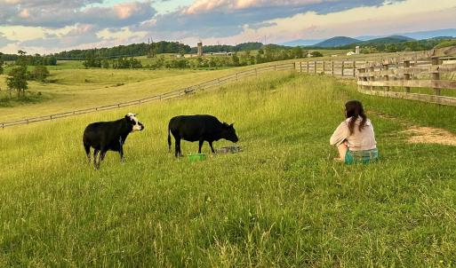Photo #67 of 1065 MIDDLEBROOK RD, STAUNTON, VA 15.4 acres