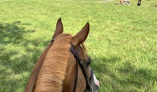 Photo #50 of 1065 MIDDLEBROOK RD, STAUNTON, VA 15.4 acres
